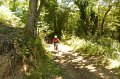 20220709-132111-[PAUxl]